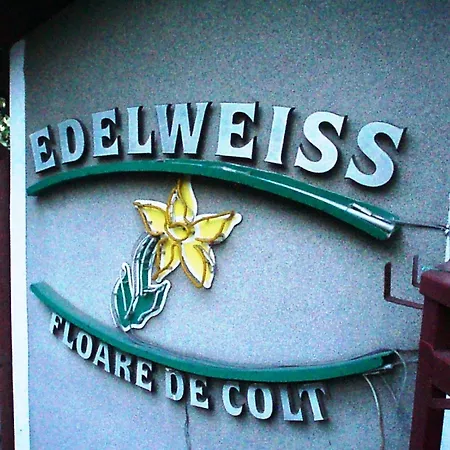 Guest house Pension Edelweiss