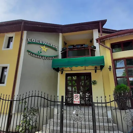 Guest house Pension Edelweiss